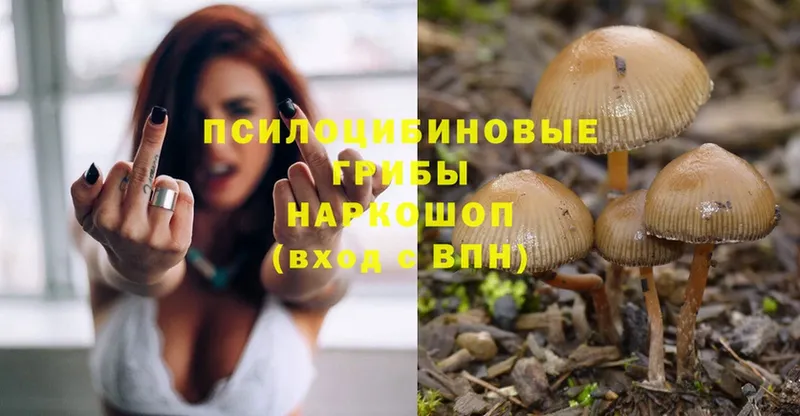 Псилоцибиновые грибы Magic Shrooms  как найти закладки  Тарко-Сале 